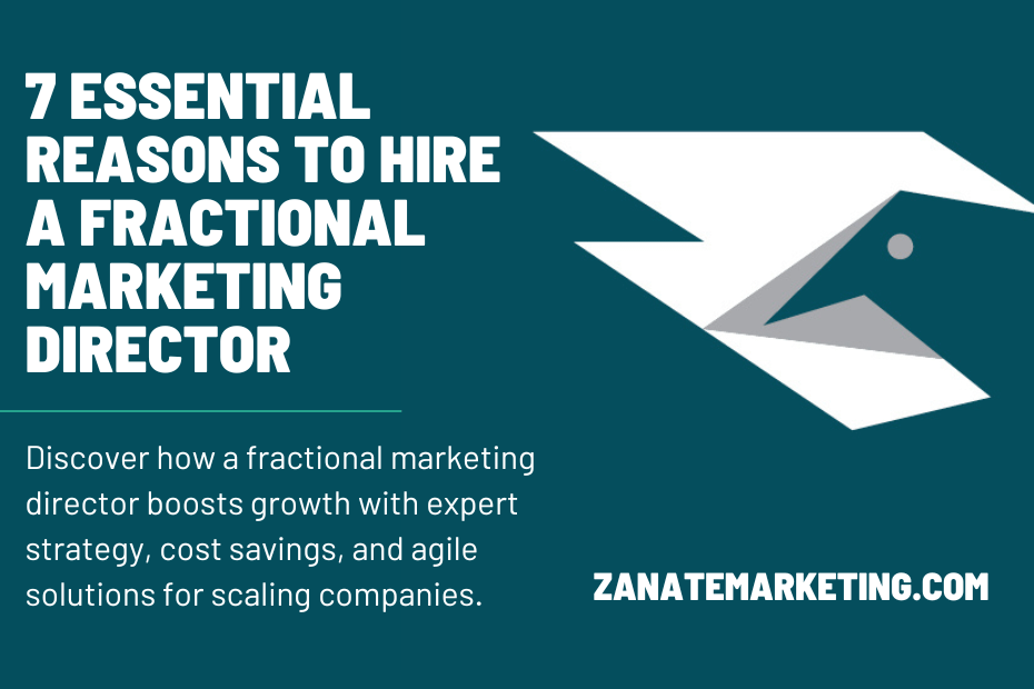 fractional marketing director